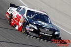 Toyota Racing