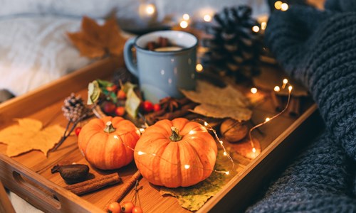 Fall Home Projects To Make Your Space Warm, Organized, And Holiday-Ready