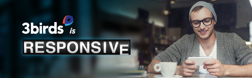 3 Birds is Responsive