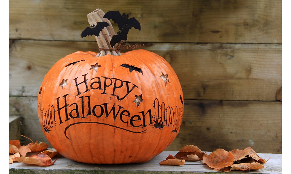 Kendall Auto Oregon Why Do We Celebrate Halloween? Kendall Auto Oregon Why Do We Celebrate Halloween?