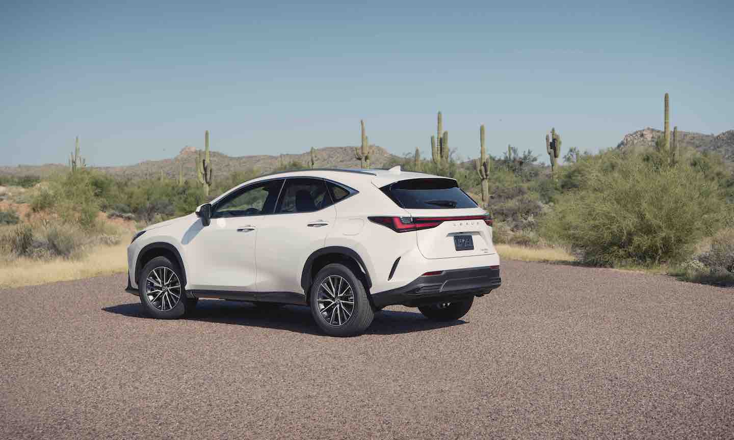 2024 Lexus NX